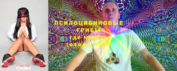 ПСИЛОЦИБИНОВЫЕ ГРИБЫ Алексеевка