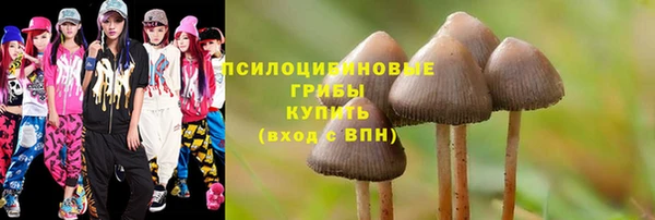 ПСИЛОЦИБИНОВЫЕ ГРИБЫ Алексеевка
