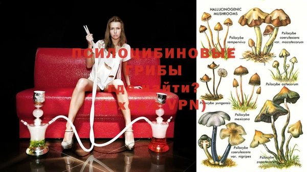 ПСИЛОЦИБИНОВЫЕ ГРИБЫ Алексеевка