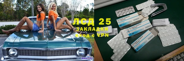 прущие грибы Алзамай