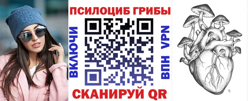 Псилоцибиновые грибы MAGIC MUSHROOMS купить наркоту Талдом